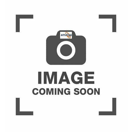 Lipstick & Gloss Brushes (Pack of 50)